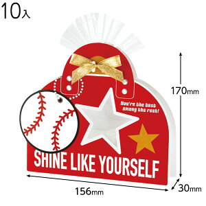 SPT-CVB1 X|[cJo[obO-1 싅 10 { Mtg bsO MtgobO ȒP  Vv 킢 }{ bsOpi  Mtg v[g yY Cxg p[eB[ }603[25H23]