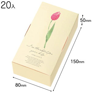 TLP-GS2 `[bvMtg{bNX S-2 ( 20 ) { Mtg bsO  Mtg{bNX ϔ ȒP  ̓ }{ bsOpi  Mtg v[g yY Cxg p[eB[ }60