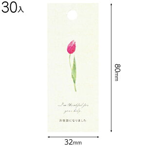 TLP-T2 `[bv^bO-2 bɂȂ܂ 30 { Mtg bsO ȒP   킢 }{ bsOpi  Mtg v[g yY Cxg p[eB[ }603[25H23]