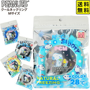 Xk[s[ N[ lbNO MTCY Fws { G pi v[g 킢 }{ lbN O ACX ۗ ⊴ MǑ΍ N[O N[oh snoopy }[25G15] (