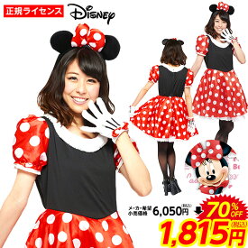 楽天市場 ミニーちゃんワンピース大人の通販