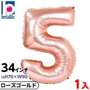 y1̔z 34C` ^[o[ [YS[h 5 { D o[ fBXvC fR[V  Cxg p[eB[ j LO D o[ a o[Xf[  傫