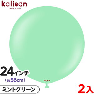 2 JT Eh ی^ 24C` (56cm) PF X^_[h ~gO[ { Cxg p[eB[  a o[Xf[  LO v[g TvCY j Ղ  