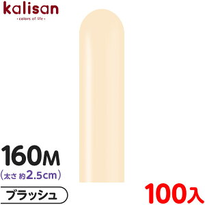 100{ JT }WbNo[ c 160M PF X^_[h ubV { Cxg p[eB[  a o[Xf[  EFfBO LO v[g TvCY j Ղ
