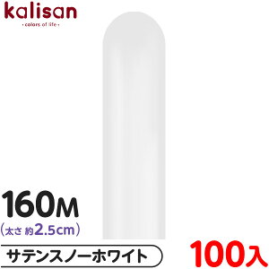 100{ JT }WbNo[ c 160M PF IyCN TeXm[zCg { Cxg p[eB[   a o[Xf[  EFfBO LO TvCY j Ղ