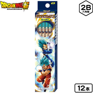 ドラゴンボール ボール 画材の通販 価格比較 価格 Com