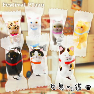 ܓ 12 E̔L`R[g{[ 500g(150) { ≮ q ii }{ ʉَq َq `R{[ `R[g `R  ˂ lR 킢 ܉َq }[25K19]{z敪D} 