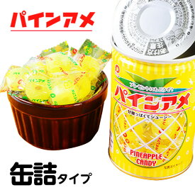 【賞味期限2028年10月】 パイン アミューズメント パインアメの缶詰 90g { 子供会 景品 お祭り くじ引き 縁日 販促 配布 夏祭り 幼稚園 保育園 }{ 駄菓子 お菓子 飴 あめ アメ キャンディ 賞味期限5年長期保存可能 パイナップル 缶詰め かんづめ 保存用 非常食 }[24B02]