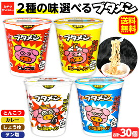 楽天市場 ブタメン 箱の通販