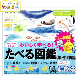 NVG ׂ} C̐ {   q qǂ ǂ lC }{ ʉَq َq C   C̐ Cm O~ lC mَq     }[24F22] {z