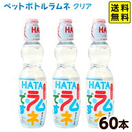 ハタ鉱泉 ペットボトルラムネ ハタ PET ラムネですよ (ビー玉入) 250ml 60本入 { 業務用 ラムネ 飲料 炭…