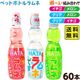 ハタ鉱泉 2つの味 セット ペットボトルラムネ ハタ PET ラムネですよ 60本入 { お祭り 縁日 子供会 問屋 夏祭り 炭酸飲料 }{ 駄菓子 お菓子 業務用 ラムネドリンク ドリンク ケース イチゴ メロン クリア }[25G17][r3]{配送区分A} 送料無料(※沖縄・離島発送不可)