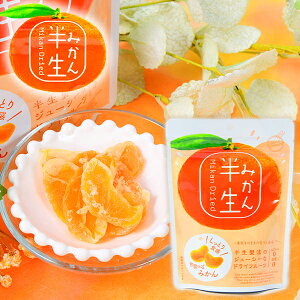 半生フルーツ みかん { 駄菓子 お菓子 おかし おやつ 景品 お祭り 縁日 問屋 パーティー 茶菓子 ティータイム 紅茶 菓子 }{ 駄菓子 お菓子 みかん 蜜柑 半生 ドライフルーツ しっとり ジューシ