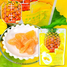 半生フルーツ ひとくちパイン { おかし 景品 お祭り 縁日 問屋 パーティー 茶菓子 ティータイム 紅茶 菓子 パイン パイナップル 半生 ドライフルーツ しっとり ジューシー }[24E20] {配送区分D}