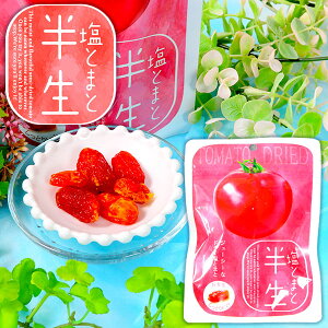  g}g { ʉَq َq   ii Ղ  ≮ p[eB[ َq eB[^C g َq }{ ʉَq َq g}g   hCt[c Ƃ W[V[ }[24E20] 