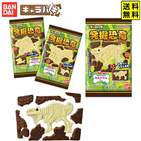 バンダイ キャラパキ 発掘恐竜 チョコ 【送料無料 ポスト投函】{ 子供会 子供 お祭り 縁日 イベント 福引き おかし おやつ 配布 駄菓子 お菓子 知育菓子 チョコ チョコレート菓子 化石 恐竜 発掘 男の子 } {配送区分N}