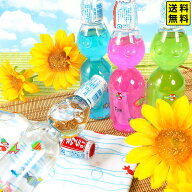 ペットボトルラムネ(ビー玉入) 60本入 { 子供会 景品 お祭り 縁日 問屋 夏祭り 幼稚園・保育園 炭酸 炭酸…
