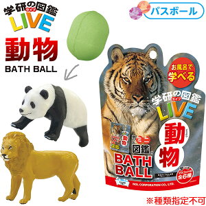 w̐}ӃCu oX{[ { Cxg p[eB[   a o[Xf[ j fR[V }{  Aj} m wK }[24L17]