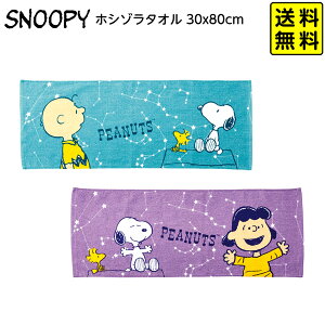 Xk[s[ zV]^I 30x80cm y |Xgz{ LN^[ ObY 킢 G pi lC Mtg 蕨 av[g v[g }{ ^I tFCX^I snoopy 