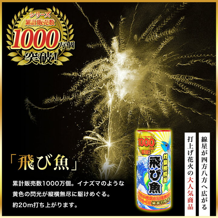 最大 Offクーポン 特選花火 極み 打ち上げ花火セット 個 3 5人用 不思議メガネ 付き Arkhitek Co Jp