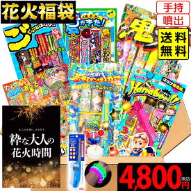 噴出・手持厳選 花火福袋 花火セット 花火 セット { 花火 セット 福袋 噴出 手持ち 花火 セット 人気 はなび 詰め合わせ }{ 花火 お祭り 子供会 イベント 縁日 夕涼み キャンプ 大人数 }[26E29][omkAA-543982omk]{配送区分A} 送料無料(※沖縄・離島発送不可)