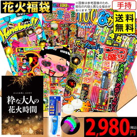 手持ち厳選 花火福袋 花火セット 手持花火 手持ち花火 手持ち 花火 セット { 花火 大量 福袋 セット お祭り 人気 }{ 花火 手持 手持ち 手持ち花火 はなび 子供会 詰め合わせ }[26E15][omkAA-543982omk]{配送区分A} 送料無料(※沖縄・離島発送不可)
