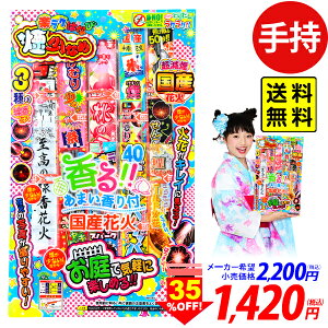 楽ラクはなび 煙少なめ LL 2 花火セット 手持花火 手持ち花火 手持ち 花火 セット { 花火 花火セット イベント 縁日 景品 問屋 子供会 手持花火 夏休み 花火 煙少ない }301 送料無料(※沖縄・離