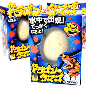 楽天市場 ドラゴンのタマゴ おもちゃの通販