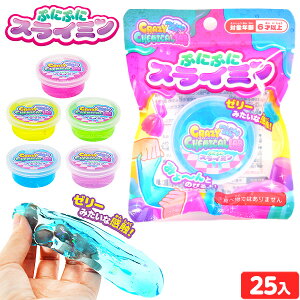 ՂɂՂɃXC~ 25 { q ii Ղ   ql` Xg }{ iiߋ V m@XC }246[25C08] (Es) {z敪D}