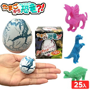 ܂狰HI 25 { ii  ߋ q Ղ   IX  ܂ ≮ ql` ct ۈ牀 čՂ Cxg v[g zz ̑ iiߋ 琶