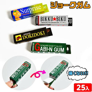 W[NK 25 { q ii Ղ   ql`  }{ iiߋ W[N K  ObY }220[25H14] {z敪D}