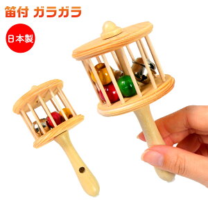 Jt KK {  |i |ߋ ̉ ؐߋ { yY a Cxg ی q l }{ iiߋ KK Ԃ ؐ  }295[25E16] {z敪D}