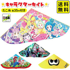 キャラクター カイト { おもちゃ プレゼント 子供会 景品 くじ引き 縁日 }{ お正月 凧揚げ 凧 キャラクター 子供 ポケモン ミニオンズ なんでもいきもの 鬼滅 仮面ライダー プリキュア パウパト マリオ ディズニー }[25L01]{配送区分D}