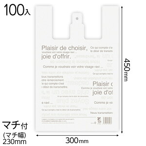 30CAF-DL JtFIWobO^oCI}X30|DL 100 { bsOpi  bsO }{ Mtg bsO rj[ W 킢  z SDGs }603[23H22]