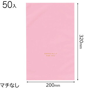 EVP-BS nobOsN-S 50 { bsOpi v[g yY  Cxg p[eB[ }{ Mtg bsO  ȒP  n }603[23H22]