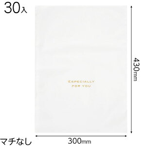 EVW-BLM nobOzCg-LM 30 { bsOpi v[g yY  Cxg p[eB[ }{ Mtg bsO  ȒP   n }603[23H22]