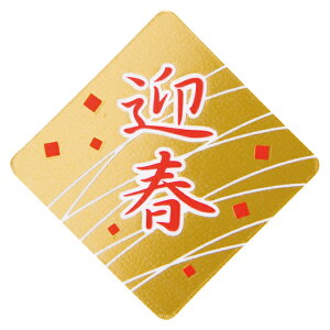 GS-PC1 }tP[LsbN-1 ( 100 ) { bsOpi v[g yY  Cxg p[eB[ }{ Mtg bsO bsO }t N  a P[L  }603[25J04]