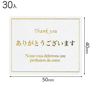 MSE-3S bZ[WV[GKg|3 ( 30 ) { bsOpi  v[g yY Cxg p[eB[ }{ Mtg bsO bsO ȒP   킢 }603[23H22]