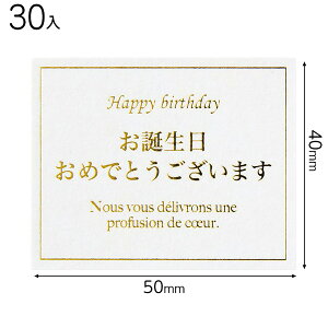 MSE-4S bZ[WV[GKg|4 ( 30 ) { bsOpi  v[g yY Cxg p[eB[ }{ Mtg bsO bsO ȒP   킢 }603[23H22]