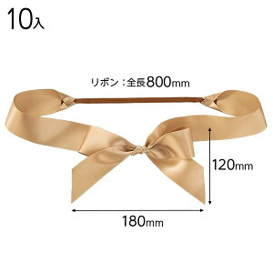 SAG-TR1 Te{S^bOS[h|1 ( 10 ) { bsOpi  v[g yY Cxg p[eB[ }{ Mtg bsO bsO ȒP  Vv 킢 ̓ N