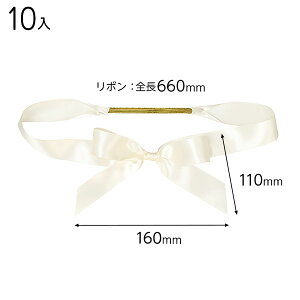 SAI-TR2 Te{S^bOAC{[|2 ( 10 ) { bsOpi  v[g yY Cxg p[eB[ }{ Mtg bsO bsO ȒP  Vv 킢 ̓ N