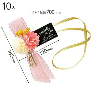 ZAR-TR1 t[AWS^bO|1^sN 10 { bsOpi  v[g yY Cxg p[eB[ }{ Mtg bsO bsO ȒP   킢 ̓ }6