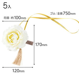 ZCW-TR1 t[RT[WzCgS^bO|1 ( 5 ) { bsOpi  v[g yY Cxg p[eB[ }{ Mtg bsO bsO ȒP   킢 