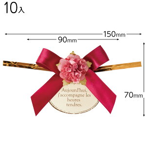 ZPC-YT3 t[{C[^C-3^Cbh 10 { bsOpi v[g yY  Cxg p[eB[ }{ Mtg bsO { ^O ^bO  ȒP   }60