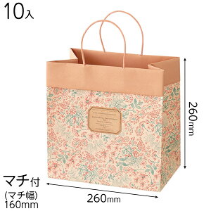 AQF-3P AeB[Nt[y[p[obO-3 ( 10 ) { bsOpi  Mtg v[g yY Cxg p[eB[ }{ Mtg bsO MtgobO  ȒP  킢 }