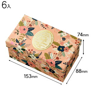 COG-HBS Jg[K[f\-S 6 { bsOpi  Mtg v[g yY Cxg p[eB[ }{ Mtg bsO  Mtg{bNX ϔ ȒP  ̓ }603[24I21]