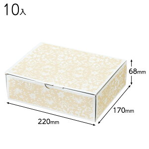 ELF-GXS GKgt[BOX-XS 10 { bsOpi  Mtg v[g yY Cxg p[eB[ }{ Mtg bsO  Mtg{bNX ϔ ȒP  ̓ }603[24I21]