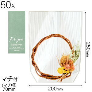 PPW-OSB2 tHgvgOPPX^hobO [Xt[-2 ( 50 ) { bsOpi  Mtg v[g yY Cxg p[eB[ }{ Mtg bsO MtgobO ȒP  V