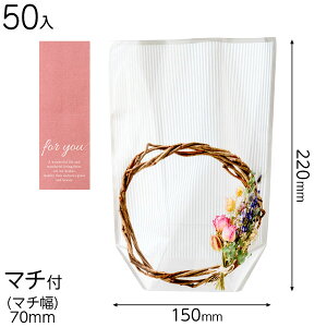 PPW-OSB3 tHgvgOPPX^hobO [Xt[-3 ( 50 ) { bsOpi  Mtg v[g yY Cxg p[eB[ }{ Mtg bsO MtgobO ȒP  V