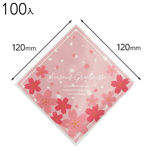 SKR-SQC V[obO 100 { Hi Hi bsO  Mtg v[g  ĝ }{ Hi XC[c eCNAEg  킢 }603[24I21]